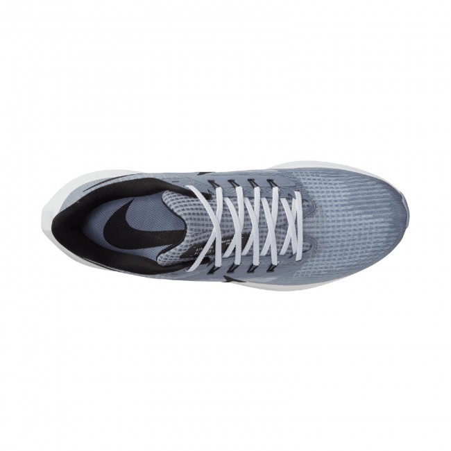 Nike air zoom pegasus 39 men s road running shoes Running shoes