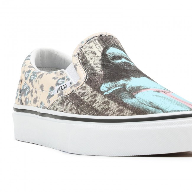 vans slip on earth