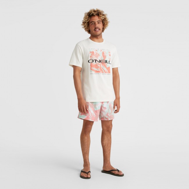 Crazy mens swim trunks clearance