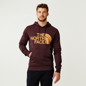 North face 2024 outlet hoodies